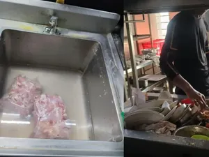 Jorok! Di Restoran BBQ Ini Banyak Kotoran Tikus dan Makanan Kedaluwarsa