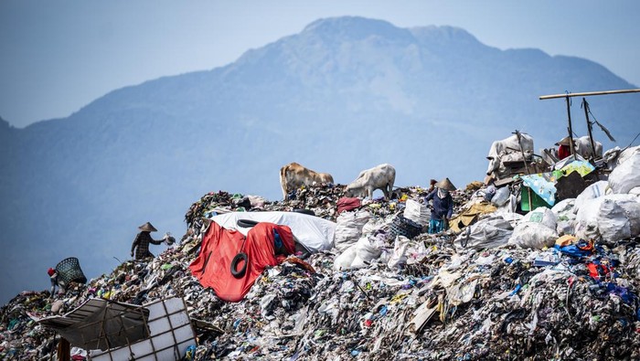 Pemulung memilah sampah di Tempat Pembuangan Akhir (TPA) Jatibarang, Semarang, Jawa Tengah, Jumat (12/9/2025). Pemerintah mendorong pengembangan pembangkit listrik tenaga sampah (PLTSa) melalui revisi Perpres nomor 35 tahun 2018 tentang Percepatan Pembangunan Instalasi Pengelolaan Sampah Menjadi Energi Listrik (PSEL) Berbasis Teknologi Ramah Lingkungan yang akan diterbitkan pada September 2025, sehingga memungkinkan setiap 1.000 ton sampah diubah menjadi listrik 20 megawatt (MW) yang bertujuan untuk menambah pasokan energi hijau dan mengurai sampah perkotaan. ANTARA FOTO/Aprillio Akbar