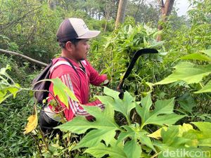 Hampir Terlupakan, Ini Penemu Pertama Korban Mutilasi di Pacet Mojokerto