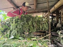 Mengenal Sosok Suliswanto yang Bantu Ungkap Kasus Mutilasi Pacet