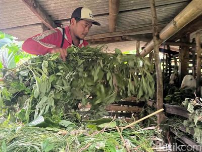 Mengenal Sosok Suliswanto yang Bantu Ungkap Kasus Mutilasi Pacet