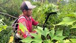 Mengenal Sosok Sulistiawan yang Bantu Ungkap Kasus Mutilasi Pacet