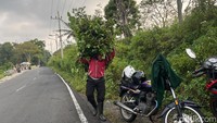 Di rumah sederhana ini, Sulis tinggal bersama istrinya, Kusmiati (34) dan 2 anaknya. Banyak hewan peliharaan di sekitar rumah ini. Mulai dari ayam, burung perkutut, hingga kambing peranakan etawa (PE).