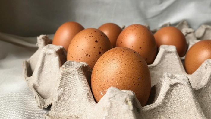 Beberapa butir telur ayam