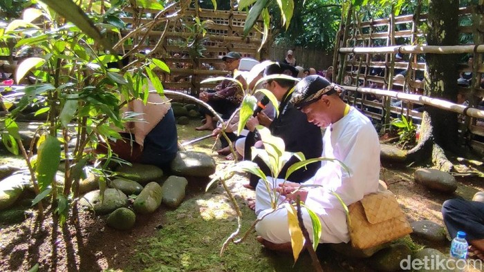 Tradisi Merlawu di Ciamis