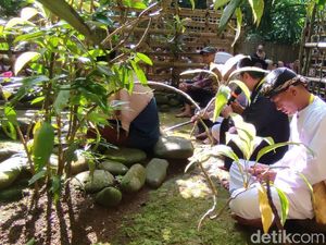 Tradisi Merlawu, Jejak Syukur Warga Wanasigra di Situs Kabuyutan Gandoang