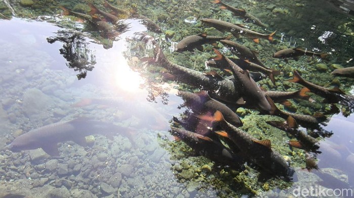 Situs Petilasan Prabu Siliwangi dan Sumur Tujuh Kuningan.