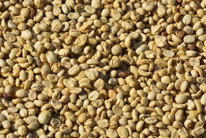4 Bagian Tanaman Kopi Ini Dapat Dikonsumsi, dari Daun hingga Biji
