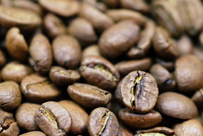 4 Bagian Tanaman Kopi Ini Dapat Dikonsumsi, dari Daun hingga Biji