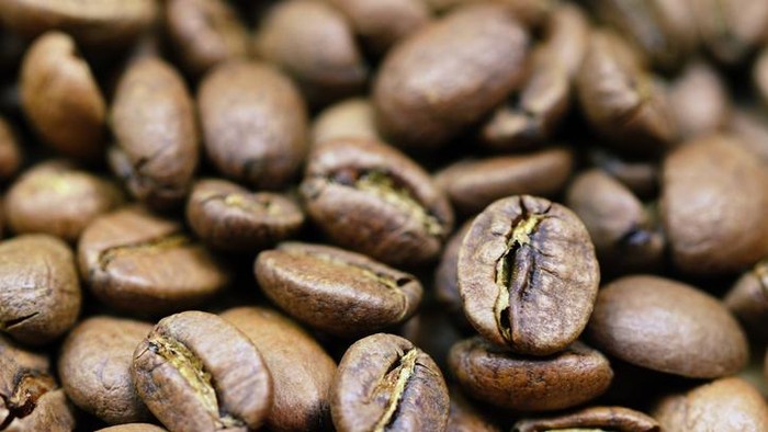 4 Bagian Tanaman Kopi Ini Dapat Dikonsumsi, dari Daun hingga Biji