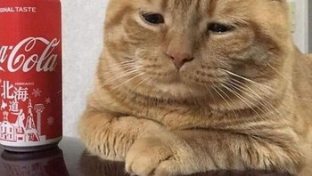 Lagi galau. Foto: Bored Panda