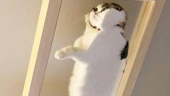 Pipinya sampai tumpah-tumpah gitu. Foto: Bored Panda