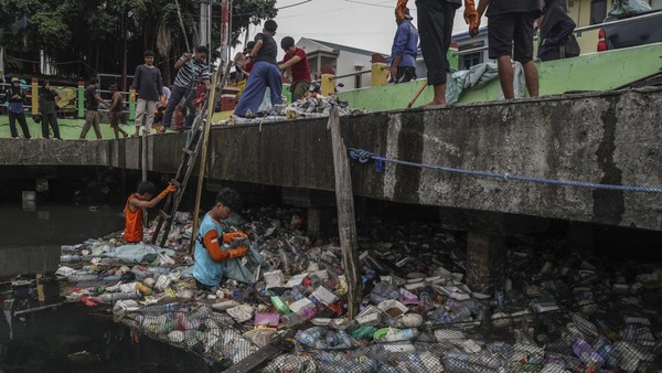 Aksi Warga Ternate Gotong Royong Kumpulkan Sampah Demi Selamatkan Laut