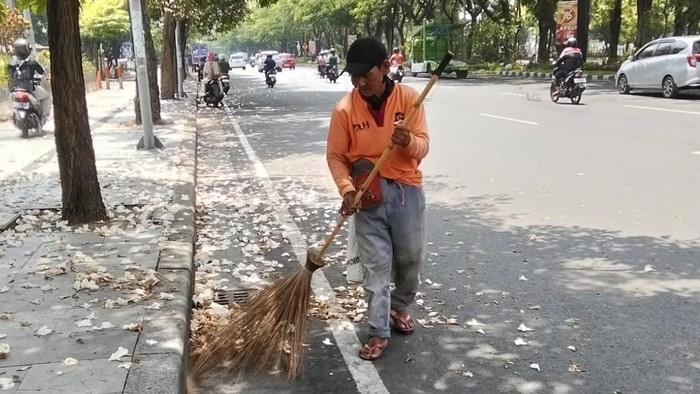 Tambahan tim road sweeper mengatasi guguran tabebuya