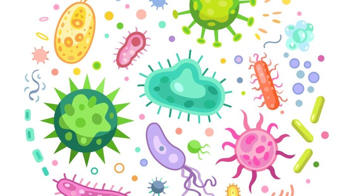 Ilustrasi pathogen microorganisme. Banyak mikroorganisme tumbuh di dalam tubuh, begini manfaatnya kata Pakar IPB Univeristy.