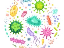 Ternyata Tubuh Manusia Dihuni Berbagai Bakteri-Jamur, Ini Manfaatnya Kata Pakar IPB