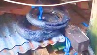 Video tersebut menunjukkan dua ban bekas di kolong rumah warga dengan narasi dugaan aksi sabotase.
