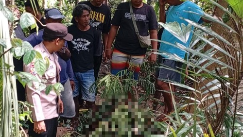 Korban yang meninggal terjatuh dari pohon saat dievakuasi untuk dibawa ke rumah duka, Sabtu (13/9/2025).