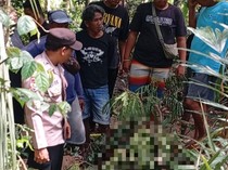 Penebang Pohon Tewas Jatuh dari Ketinggian 30 Meter