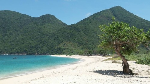 Pantai Rontu di Desa Tangga Baru, Kecamatan Monta, Kabupaten Bima, NTB. (Foto: Tangkap Layar Google Maps/Sabir)