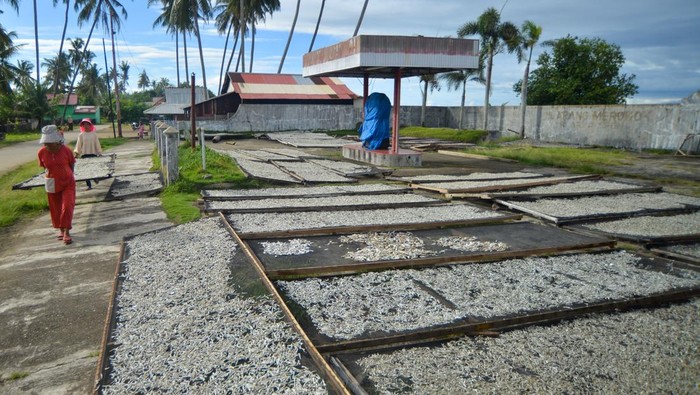 Pekerja menjemur ikan kering jenis teri di Pasie Nan Tigo Padang, Sumatera Barat, Minggu (14/9/2025). Pengusaha ikan kering di daerah itu mengaku produksi mereka berkurang hingga 40 persen karena proses pengeringan terkendala cuaca dengan intensitas hujan yang tinggi, sehingga berdampak pada harga yang juga turun dari Rp75 ribu per kilogram menjadi Rp50 ribu per kilogram. ANTARA FOTO/Iggoy el Fitra/bar