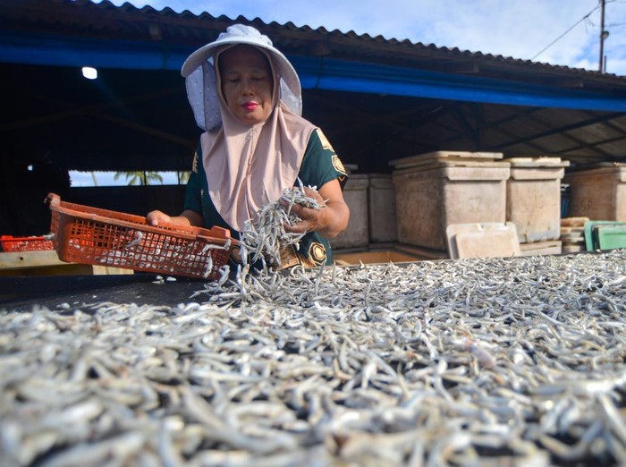BPOM Temukan Teri dan Mi Mengandung Formalin di Pasar Serang
