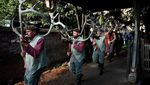 Melihat Tarian Tanduk Abad Pertengahan yang Tetap Lestari di Inggris