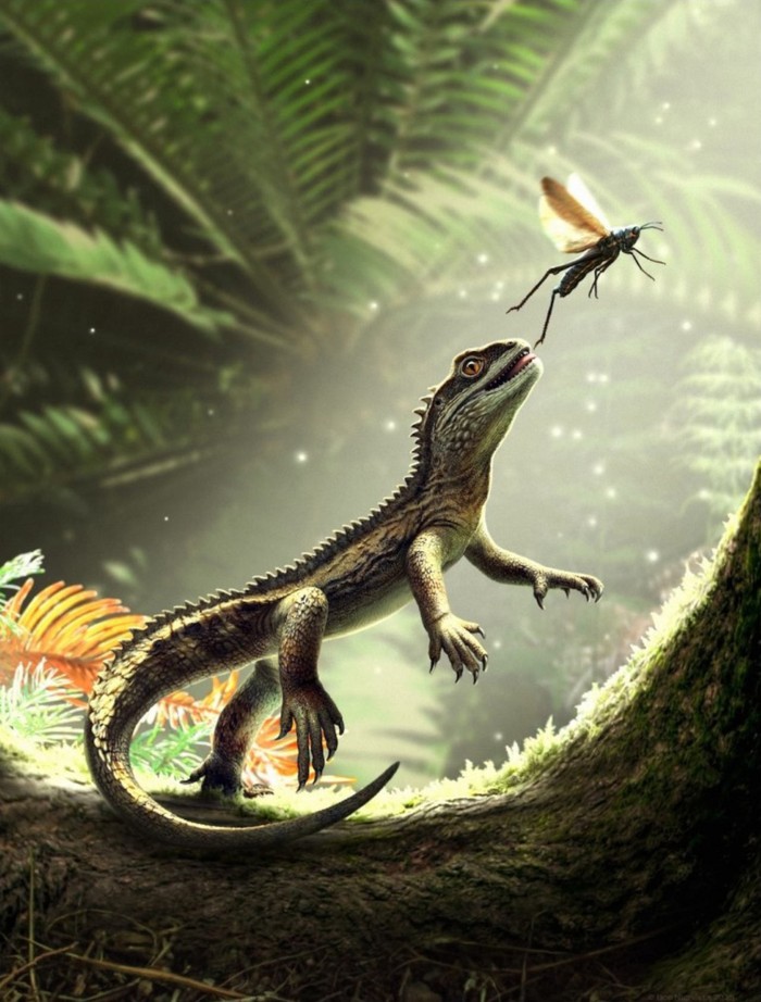 Agriodontosaurus helsbypetrae, spesies kadal purba yang hidup 242 juta tahun lalu.
