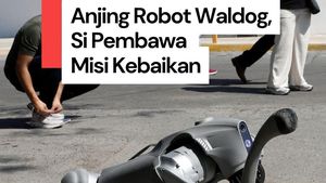 Video Anjing Robot Pembawa Misi Kebaikan di Jalanan, Intip Aksinya