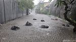 9 Potret Denpasar dan Badung Direndam Banjir Lagi