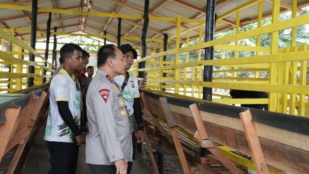 Kapolda Riau Irjen Herry Heryawan mengecek Bank Pohon di Rumbai, Pekanbaru, Senin (15/9/2025). Bank Pohon Polda Riau tak sekadar menumbuhkan tanaman tapi juga membangun usaha masa depan.