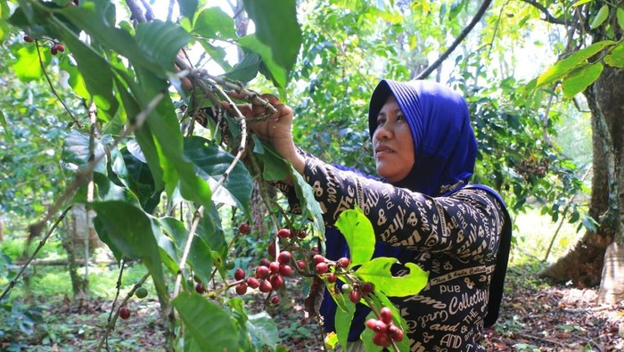 Desa Wisata Sukorejo