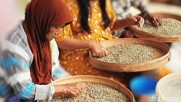 Eduwisata di Kampung Wisata Kopi