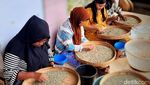 Eduwisata di Kampung Wisata Kopi Bondowoso