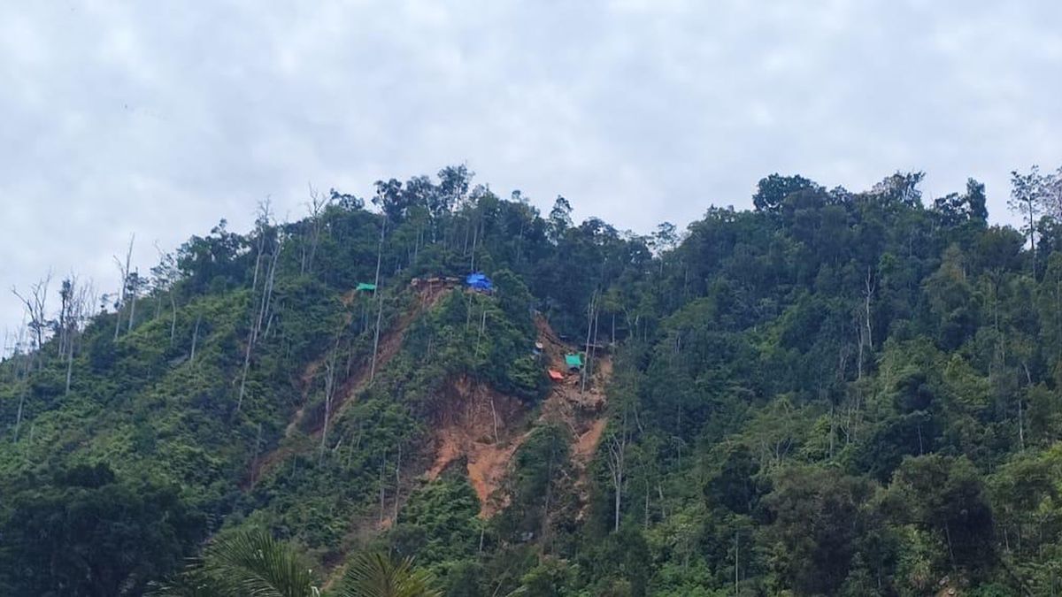Perusahaan Tambang Milik Ketua Kadin Sultra Sempat Ditutup Satgas PKH