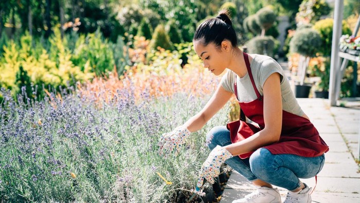 Mixed race housewife taking care of plants and herbs at summer day. Small family business concept
