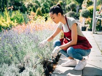 Kalender Jawa Minggu Legi 19 April 2026: Baik untuk Bercocok Tanam