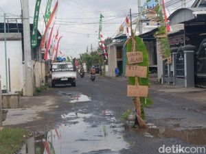 Jalan Rusak Parah, Warga Ngunut Tulungagung Tanami Pohon Pisang