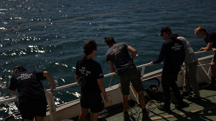 Sea Shepherd crew members on board the Sea Eagle vessel inspect makeshift octopus traps recovered from the sea during an operation to remove illegal octopus traps in the Thermaic Gulf, northern Greece, September 1, 2025. REUTERS/Stelios Misinas