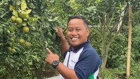 Bukan Pensiun Jadi Artis, Narji Ungkap Alasan Kini Petani