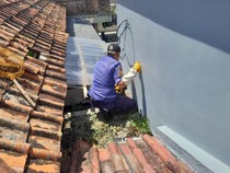 Anak Kucing Terjebak di Pipa, Panik Entin Berakhir Senyum