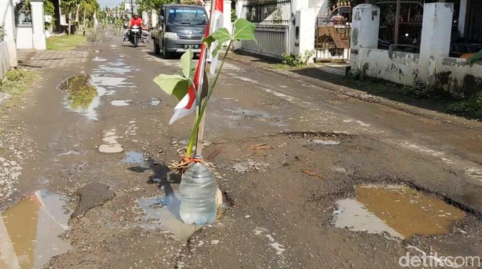 Protes Jalan Rusak, Warga di Ngunut Tulungagung Tanami Pohon Pisang