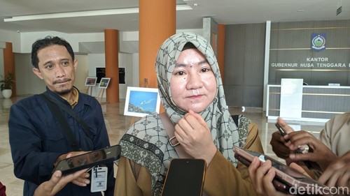 Sekretaris Dinas Energi dan Sumber Daya Mineral (ESDM) Provinsi NTB Niken Arumdati. (Foto: Ahmad Viqi/detikBali)