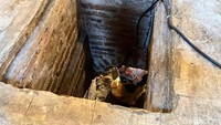 Widi mengatakan, bunker tersebut dulu berfungsi sebagai menyimpan harta benda serta sebagian connecting door. Selain milik Wiryosupadmo, rumah-rumah yang berada di sekitar sana juga mempunyai bunker yang menjadi milik pribadi.