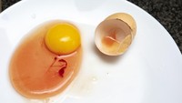 Kalau putih telur punya warna kehijauan atau pink, maka telur sebaiknya dibuang. Warna ini mengindikasikan pembusukan bakteri, seperti yang disebabkan oleh Pseudomonas, pemicu keracunan makanan. Foto: Getty Images/Adisak Mitrprayoon