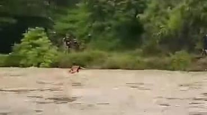 Tangkapan layar ibu muda menerobos arus deras sungai yang meluap di Desa Piriang Tapiko, Kecamatan Tubbi Taramanu (Tutar), Polman.
