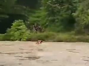 Video Pengakuan Ibu di Polman yang Terobos Sungai Meluap Demi Anak di Rumah
