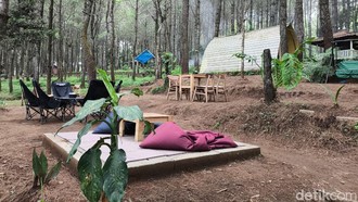 Begitu Istimewanya Gunung Ciremai... Rumah Macan Tutul, Tower Air Jabar