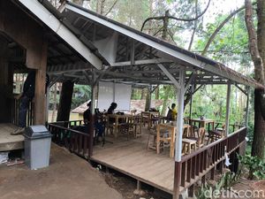 Jajan Terjangkau di Tengah Hutan Pinus Kuningan