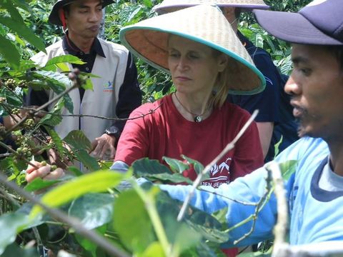 Wisata Kopi Bondowoso
